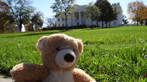 Teddy in DC - White House