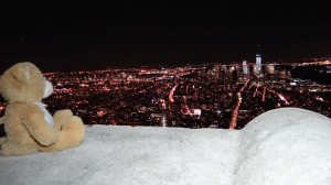 Teddy on Empire State Building