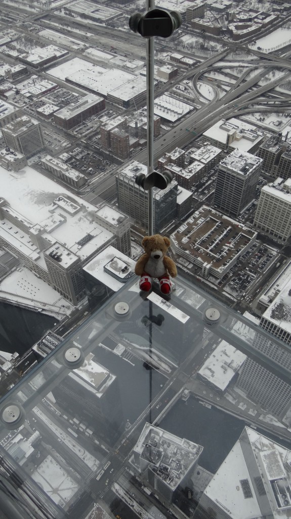 Teddy Skydeck