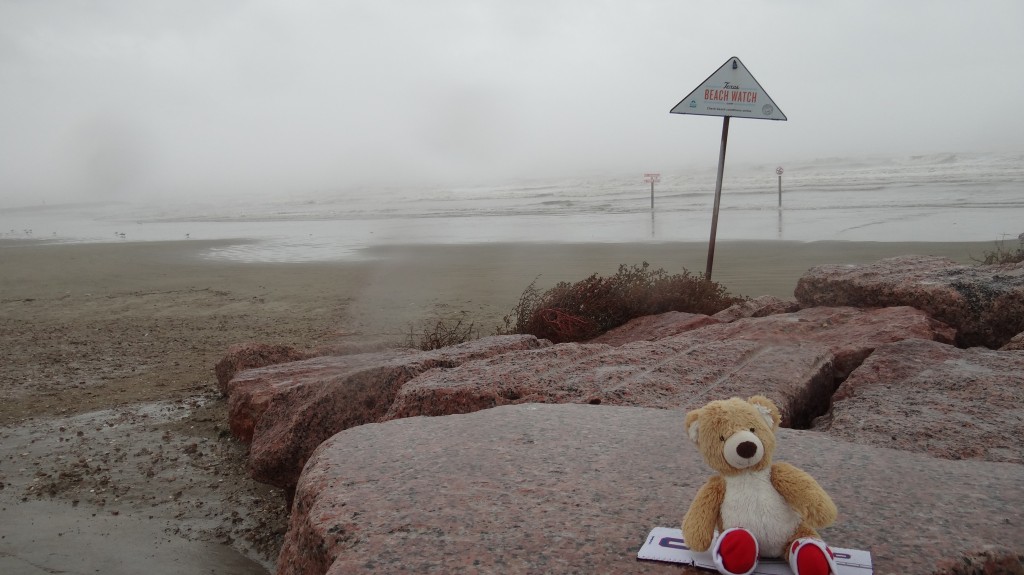 Teddy Beach Galveston