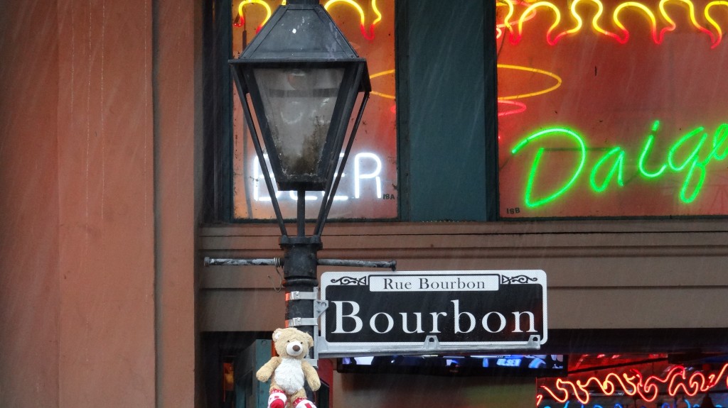 Teddy at Bourbon Street