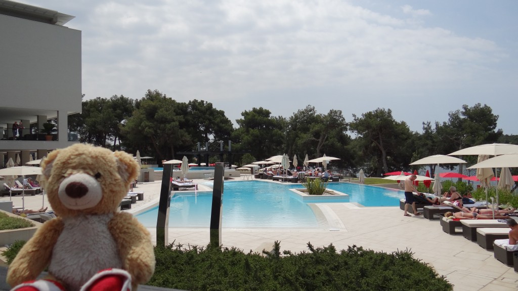 Teddy at Parentium Hotel