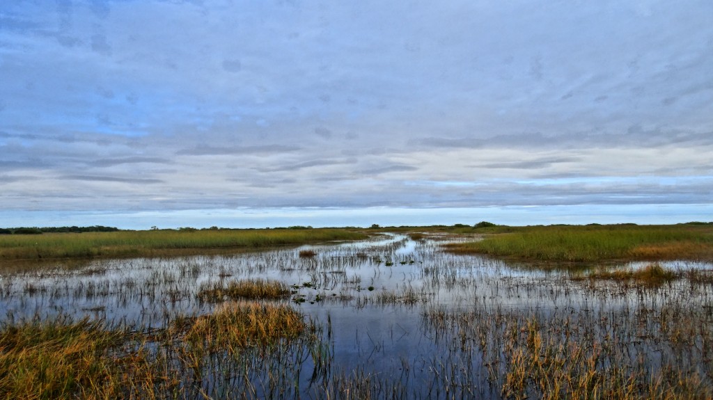 The Everglades